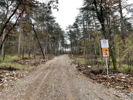 Novozgrajena protipožarna pot med Plešivico in Povirjem. Vir: Arhiv Občine Sežana